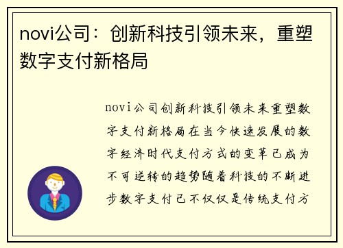 novi公司：创新科技引领未来，重塑数字支付新格局